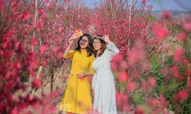 Dịp Tết nguyên đán, miền Bắc rét về đêm và sáng, trưa chiều hửng nắng.