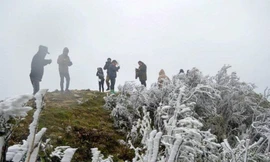 Mưa tuyết có thể xuất hiện trong hôm nay tại các vùng núi cao như Hoàng Liên Sơn.