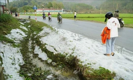 Mưa đá tại Điện Biên chiều qua (22/3). Ảnh: TTX