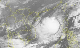 Ảnh vệ tinh chụp bão số 8 trong sáng nay, khi tiến gần về quần đảo Hoàng Sa.