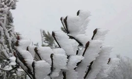 Sa Pa, Mẫu Sơn có thể đón băng giá vào cuối tuần này.