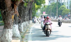 Thời tiết 7 ngày tới trên cả nước ra sao?