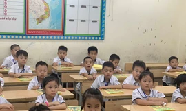 Học sinh cần có kiến thức về xác suất, thống kê để xử lý thông tin tốt hơn? 