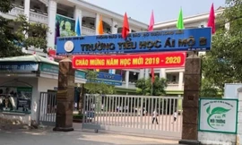 Trường tiểu học Ái Mộ B