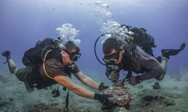 Cáp quang APG lại gặp sự cố, internet Việt Nam đi quốc tế bị ảnh hưởng