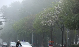 Miền Bắc sương mù, mưa phùn nhiều ngày tới