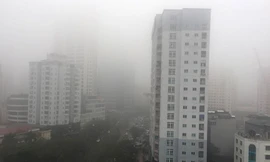 Ảnh: Hoàng Mạnh Thắng