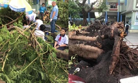 Bộ trưởng Phùng Xuân Nhạ gửi lời hỏi thăm, chia buồn với gia đình học sinh. 