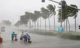 Dự báo bão năm nay sẽ tập trung vào cuối năm ở các tỉnh Trung Bộ và phía Nam. Ảnh minh họa.