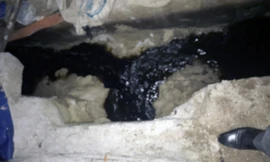 Đình chỉ giám đốc công ty xả thải ra hồ có rùa Hoàn Kiếm