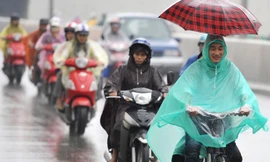 El Nino xuất hiện, bão hoạt động ít hơn 2 năm trước