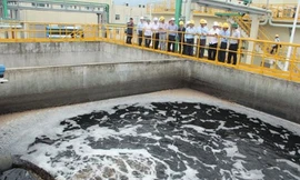 Formosa nằm ngoài danh sách thanh tra năm 2018