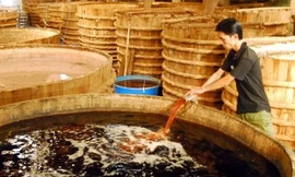 Tổng cục Đo lường: Xây dựng tiêu chuẩn nước mắm để ‘hội nhập’