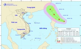 Dự báo đường đi của áp thấp nhiệt đới.