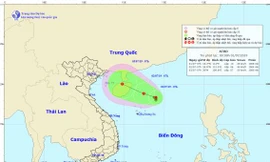 Ảnh đường đi và vị trí của vùng áp thấp nhiệt đới.