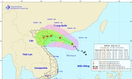 Dự báo vị trí và đường đi của bão ở thời điểm hiện tại