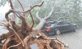 Bão Nesat 'tấn công', 300.000 người Trung Quốc sơ tán