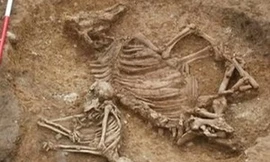 Anh phát hiện mộ cổ được mai táng kỳ lạ