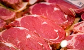 Ăn nhiều thịt đỏ làm tăng nguy cơ ung thư thận