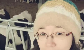 'Độ ta không độ nàng' gây bão mạng nhưng lại bị tác giả hắt hủi