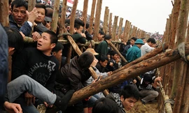 Nhặt sạn hội chọi trâu cổ nhất Việt Nam