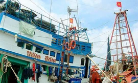 Năm người thương vong dưới hầm cá do ngộ độc khí mê-tan?