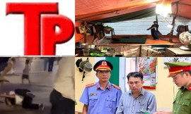 Bản tin Hình sự: Nguyên nhân bé gái 17 tháng tuổi tử vong sau khi được bố gửi đi trông