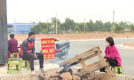 Cục Thuế Hà Nội chuyển công an điều tra các trường hợp khai gian giá nhà, đất