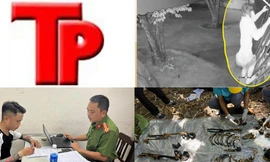 Bản tin Hình sự: Xuất hiện 'người bún' có thể chui qua khe cổng cực hẹp để trộm tài sản 