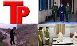 Bản tin Hình sự: Công an triệt phá đường dây chuyên 'chăn dắt chân dài'