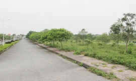 Loạt dự án chậm tiến độ, nợ thuế của Nghệ An bị 'khai tử'