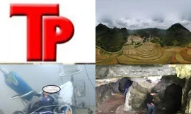 Bản tin Hình sự: Con trai chém chết bố rồi trốn vào rừng ăn lá ở hang