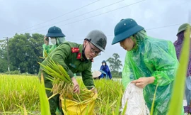 Chiến sỹ Công an Hà Nội xắn quần, ngâm nước giúp người dân cứu lúa 