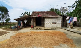 Tập huấn giúp dân xóa đói giảm nghèo ở Quảng Ngãi