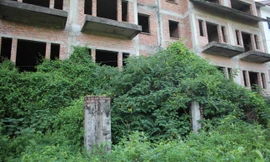 Nhà liền kề, biệt thự bỏ hoang Hà Nội đang bị đẩy giá