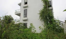 Cận cảnh biệt thự 'hóa rừng' trong khu đô thị sinh thái Xuân Phương mà Hà Nội vừa yêu cầu rà soát 