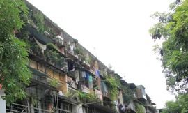 Loạt quyền lợi của cư dân khi chung cư hết niên hạn sử dụng