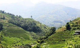 Các địa phương liên tục đấu giá đất với mức khởi điểm từ vài triệu đồng/m2 