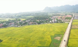 Đề xuất thu hồi loạt 'sổ đỏ' liên quan đến đất nông nghiệp sai quy định ở Ninh Bình