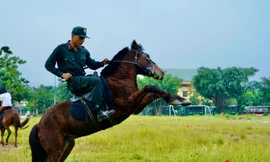 Xem cảnh sát cơ động TP.HCM 'bay' cùng các chú ngựa chiến