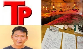 Bản tin Hình sự: Người phụ nữ bị bạn trai đâm chết vì cãi nhau trên đường