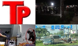 Bản tin Hình sự: Ông chủ rủ cô bé 15 tuổi đến thác nước chơi rồi giở trò đồi bại