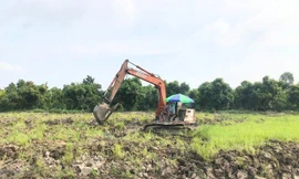 Đồng Tháp và Long An được chuyển mục đích sử dụng đất lúa diện tích lớn