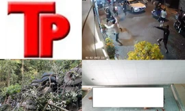 Bản tin Hình sự: Anh ruột thiêu chết em trai sau khi cãi vã