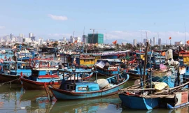 Loạt tàu cá nằm bờ 'buồn thiu', trĩu lòng ngư dân cả đời bám biển 