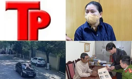 Bản tin Hình sự: Người phụ nữ nhận 'kết đắng' vì một lần đi giao hàng cấm