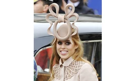 131.000 USD cho chiếc mũ hình bệ toilet