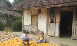 Trần Thị Tuyết làm công việc thường ngày của cô gái nghèo. Ảnh: D.Ng