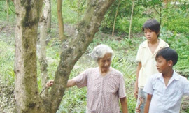 Sonadezi cam kết bồi thường cho dân