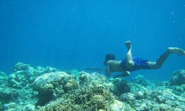 Tộc người Indonesia tiến hoá 'như cá', lặn 13 phút không cần thở